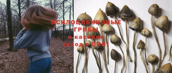 скорость Верхний Тагил
