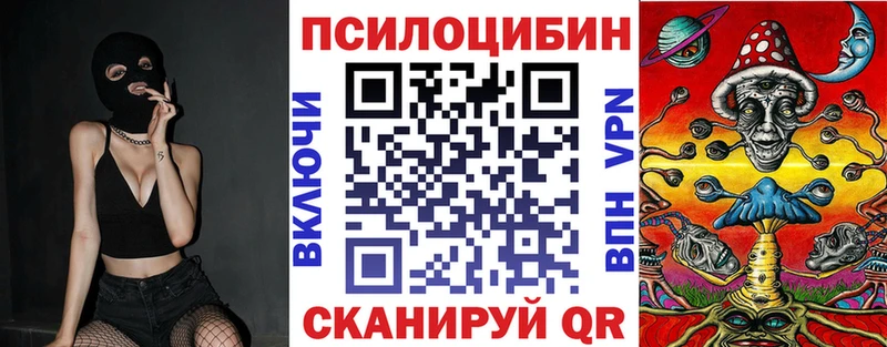 hydra вход  Оренбург  Галлюциногенные грибы Psilocybe  купить наркотик 